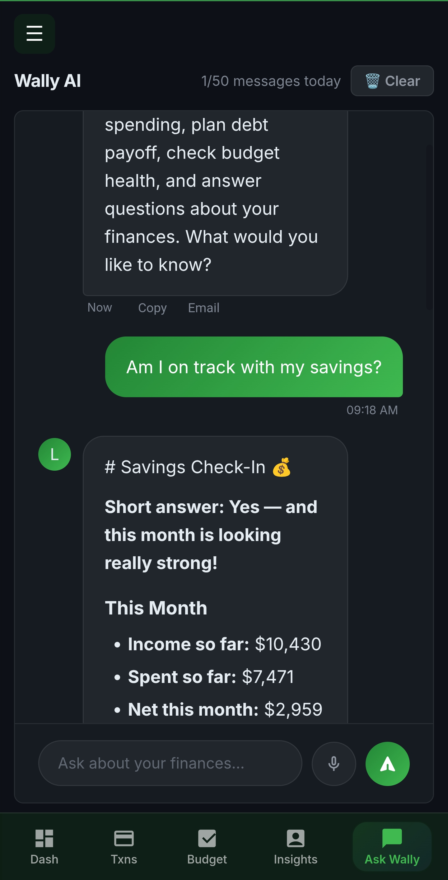 Wally AI advisor